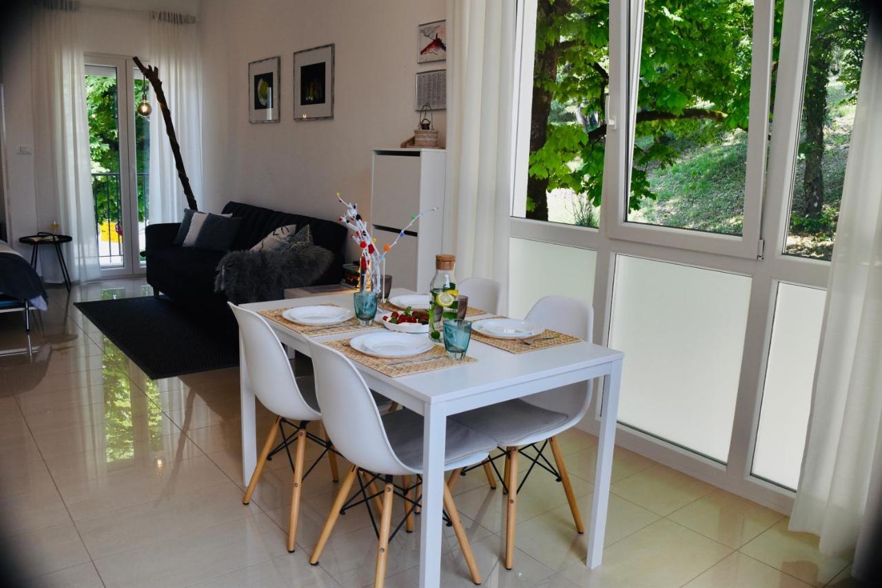 Studio Apartment Stazion With Free Parking Pazin Kültér fotó